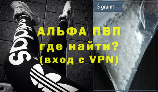 гашик Абаза